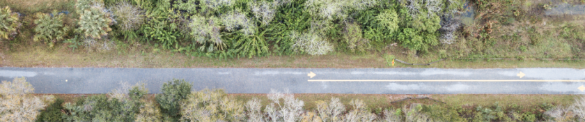 long road with arrows on it and trees on either side