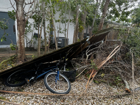 bike under a big piece of wood and a downed tree after a hurricane.