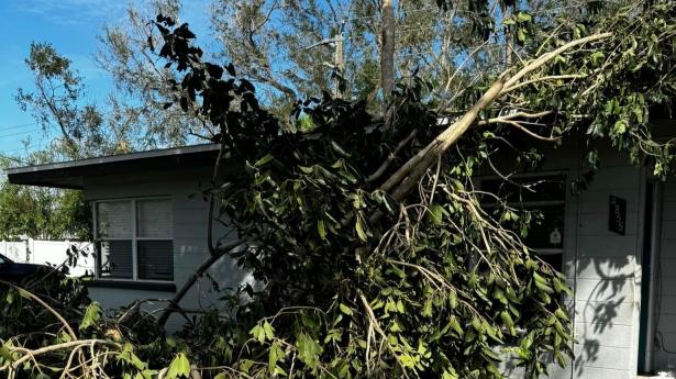 Tree branches cover a home outside.