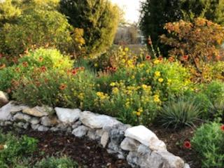 Butterfly garden at the Venice Urban Forest. Trees, flowers.