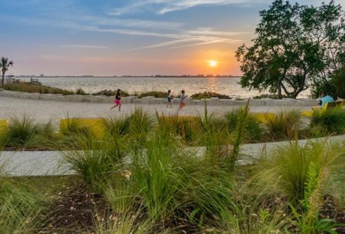 Children run along Sarasota Bay at The Bay Park with green plants and the sunset among them.